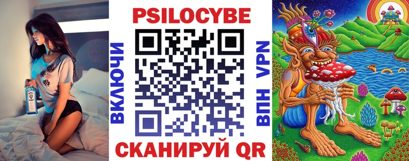 дарнет шоп  Новоуральск  Псилоцибиновые грибы Psilocybine cubensis 